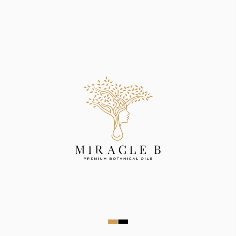 Miracle-B-Portfolio-2